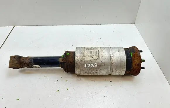 Land Rover Range Rover Sport L320 Front air suspension shock absorber 22257272
