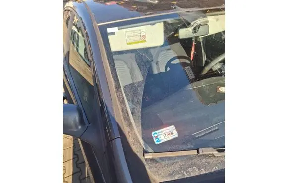 Fiat Bravo Front door rubber seal 