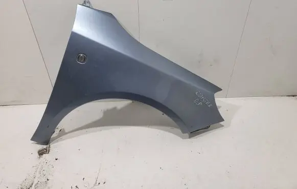 Skoda Roomster (5J) Fender