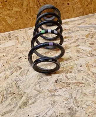 Rear coil spring