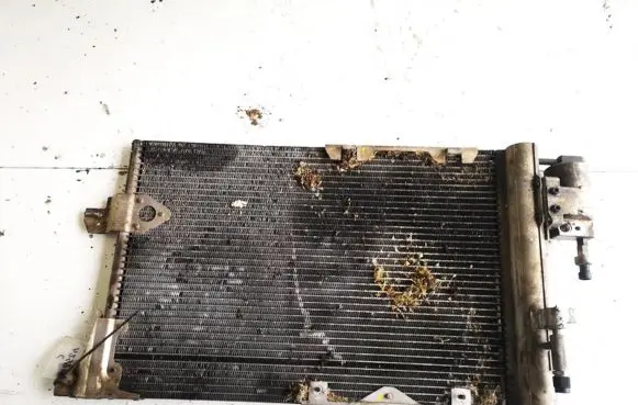 Opel Astra G A/C cooling radiator (condenser) 24465321