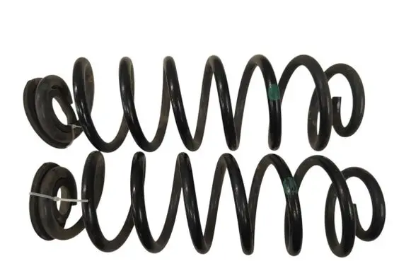 Rear coil spring