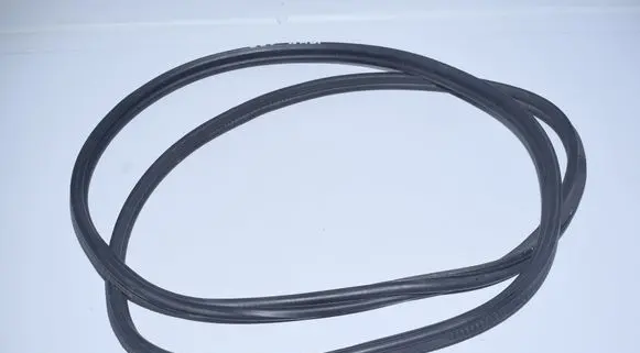 BMW 1 E81 E87 Loading door rubber seal (on body) 7141890