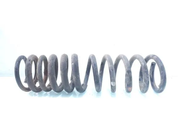 Ford Focus Rear coil spring