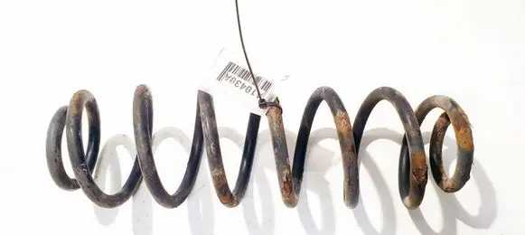 Rear coil spring