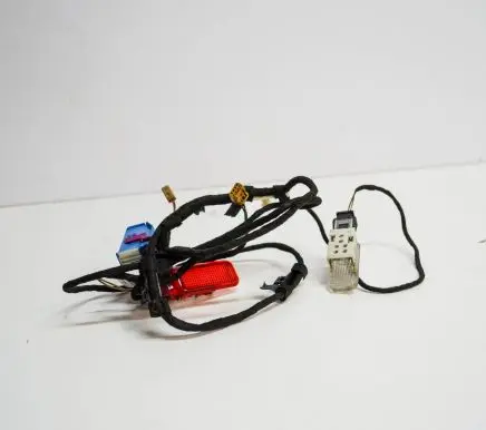 Front door wiring loom
