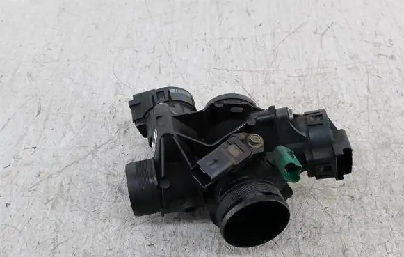 Throttle body valve
