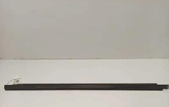 Ford Mustang IV Front door glass trim molding 