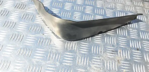 Rear/tail light trim molding