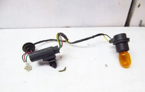 MG ZS Tail light bulb cover holder