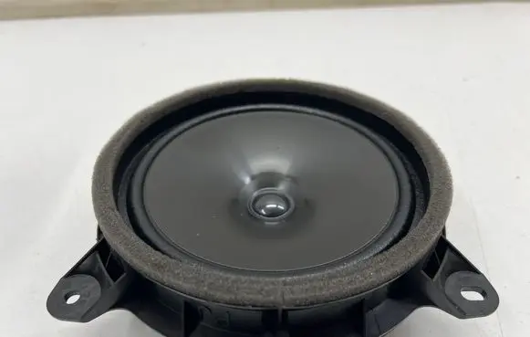 Front door speaker