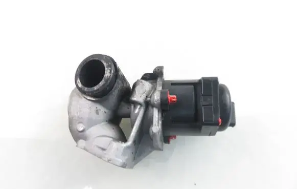EGR valve