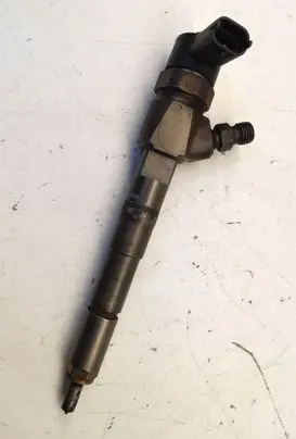 Fiat Ducato Fuel injector