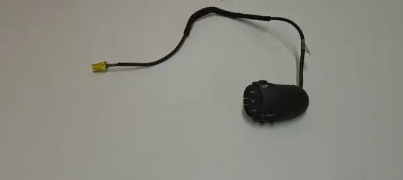 Multifunctional control switch/knob