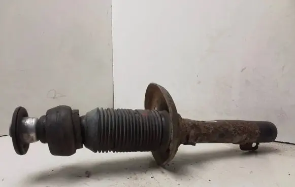Volkswagen Golf IV Front shock absorber/damper 1J0413031AE