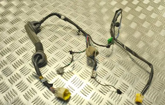Front door wiring loom