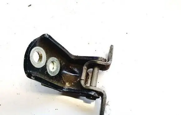 Nissan Qashqai Rear door lower hinge 