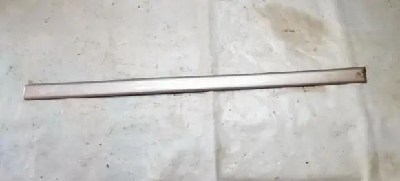 Honda Civic Front door trim (molding) 
