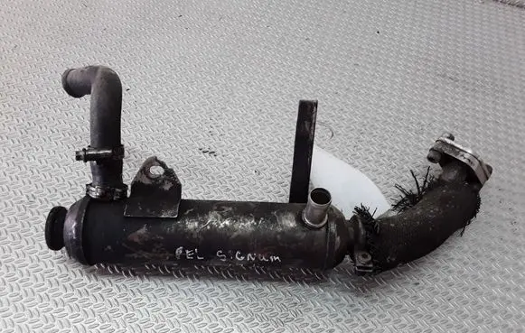 Opel Signum EGR valve cooler