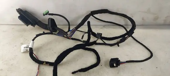 Front door wiring loom