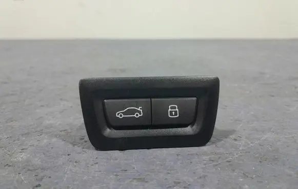 BMW X5 E53 Other switches/knobs/shifts 5A64C25