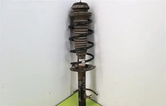 Peugeot 1007 Front shock absorber with coil spring