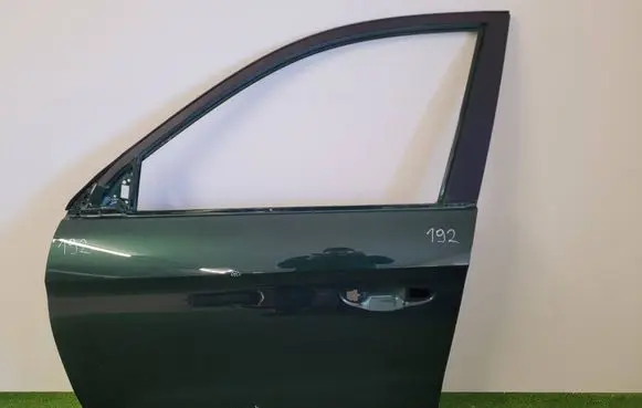 MG ZS Front door 