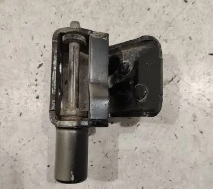 Rear door lower hinge