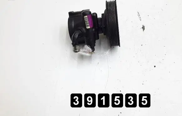 Fiat Doblo Power steering pump
