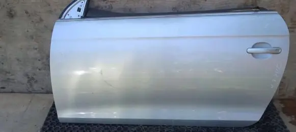 Volkswagen Eos Front door