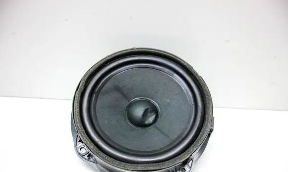 Front door speaker