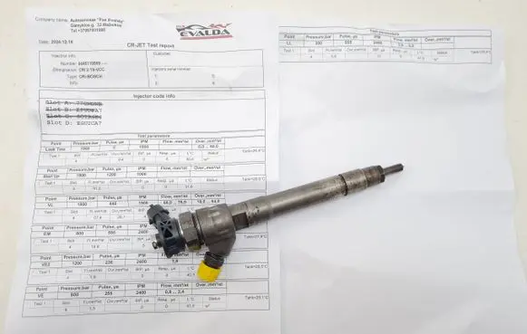 Renault Trafic III (X82) Fuel injector 0445110569