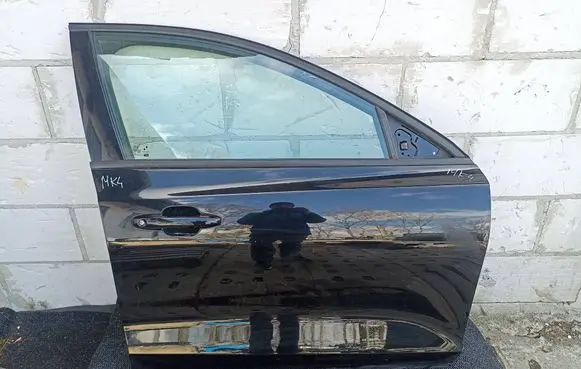 Ford Focus Front door 