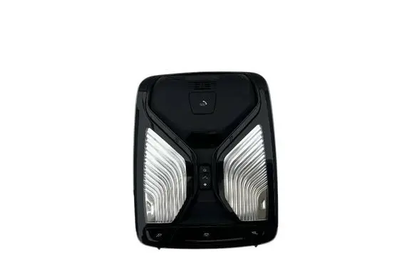BMW X3 G01 Front seat light 5A447A9