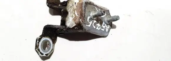 Renault Laguna II Rear door lower hinge