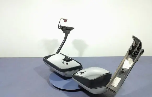 Renault Megane III Front door electric wing mirror 