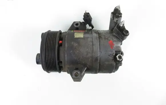 Nissan Pathfinder R51 Air conditioning (A/C) compressor (pump) 5060121090 92600EA200