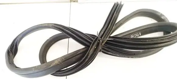 Ford Focus Rubber seal front coupe door