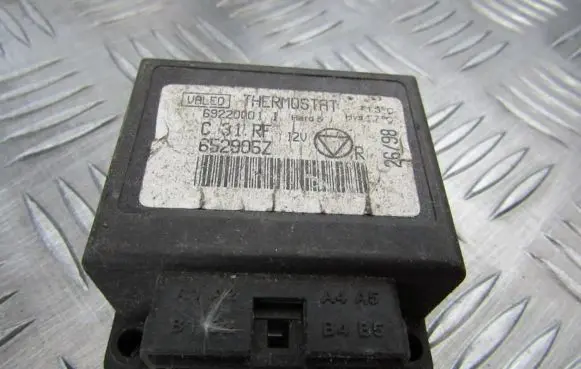 Peugeot 406 Other control units/modules 69220001 652905z
