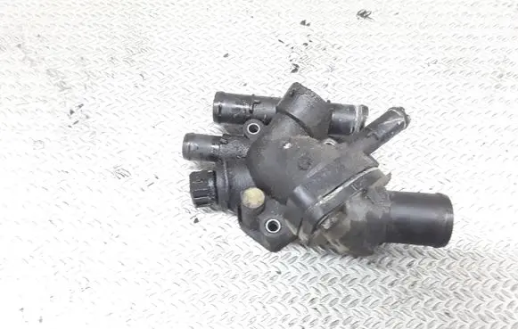 Thermostat/thermostat housing