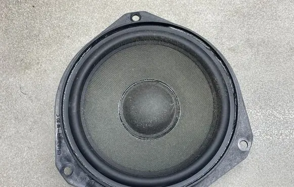 Front door speaker