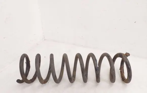 Rear coil spring