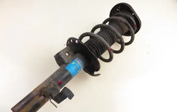 Ford S-MAX Front shock absorber with coil spring 313759