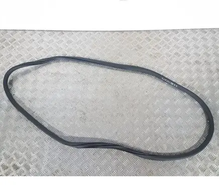Citroen C3 Rear door rubber seal (on body) 9813059680