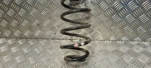 Rear coil spring