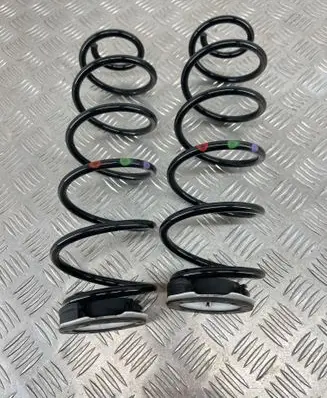 Rear coil spring