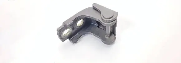 Renault Megane III Rear door lower hinge 804200003R