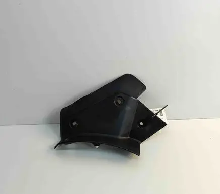 Rear/tail light trim molding