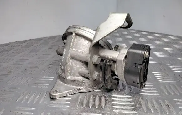 BMW 5 E39 Throttle valve 1703562