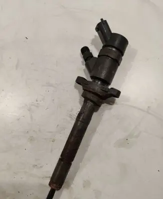 Citroen Berlingo Fuel injector 0445110239